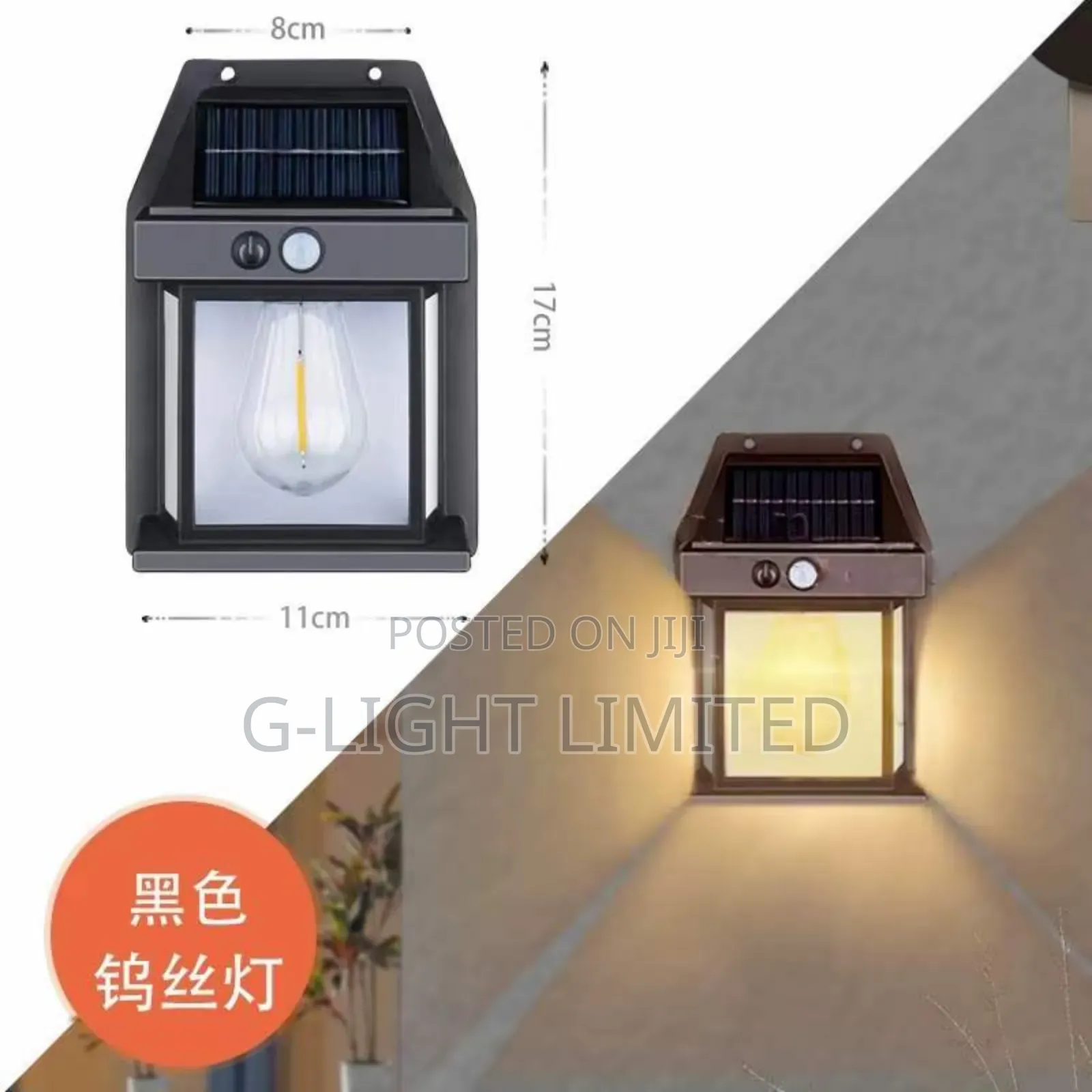 Outdoor Wall Light