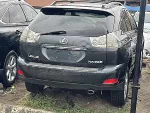 Lexus RX 300 4WD 2004 Gray