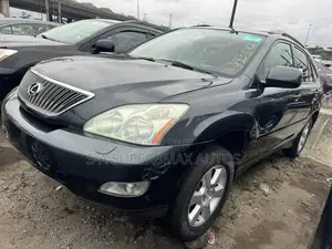 Lexus RX 300 4WD 2004 Gray