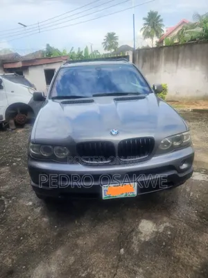 BMW X5 3.0i 2006 Gray