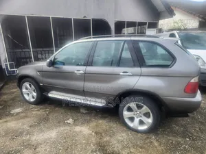 BMW X5 3.0i 2006 Gray