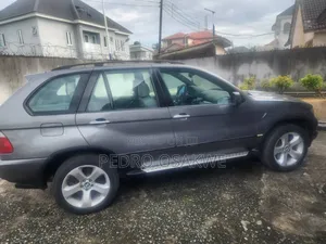 BMW X5 3.0i 2006 Gray