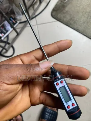 Digital High Quality Thermometer