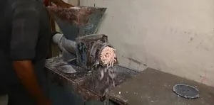 Soap Plodder