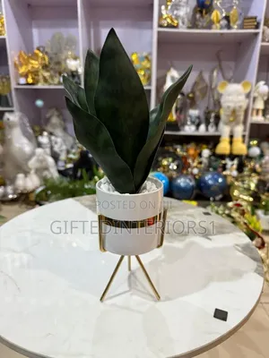 Decorative Potted Flowers