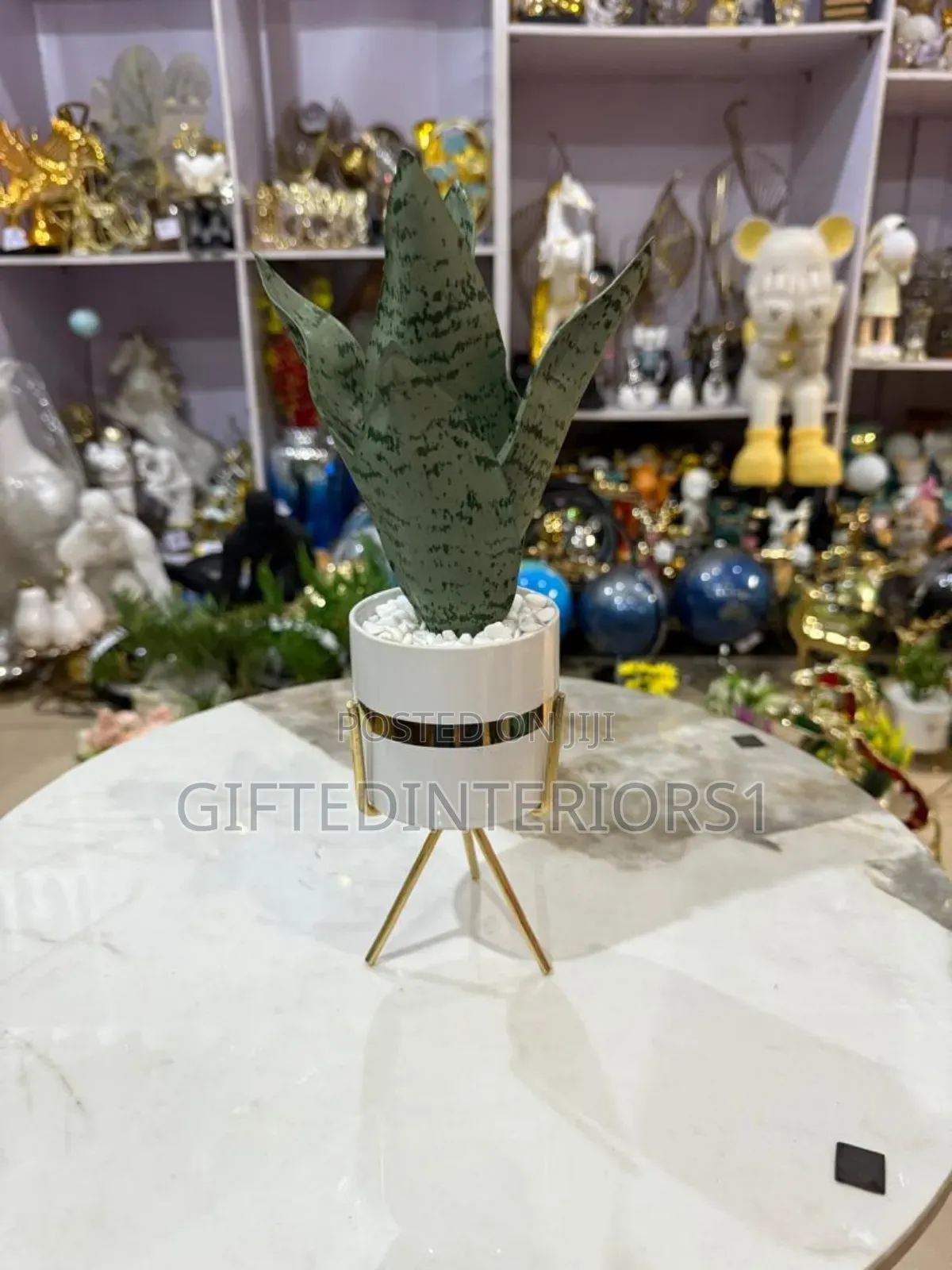 Decorative Potted Flowers