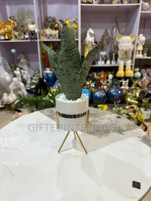 Decorative Potted Flowers
