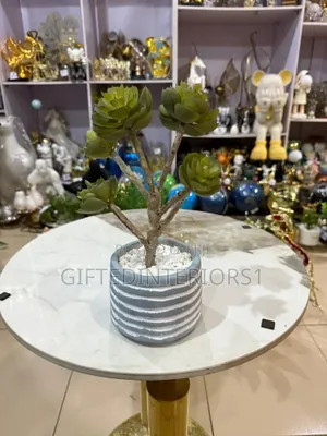 Decorative Potted Flowers