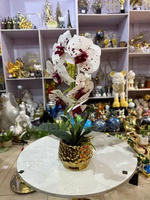 Decorative Potted Flowers