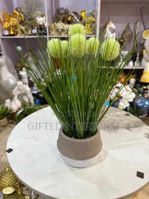 Decorative Potted Flowers