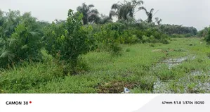 Lucrative Real Estate Investment Opportunity