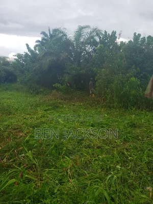 Photo - Land for Lease Available