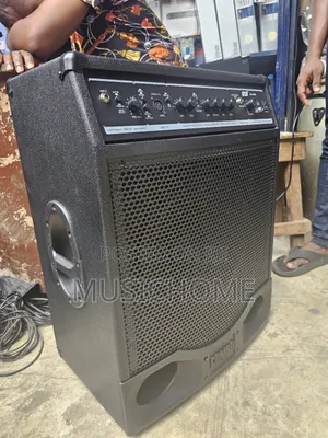 Professional Bass Combo Speaker Available