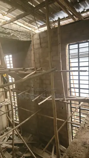 Transom Windows