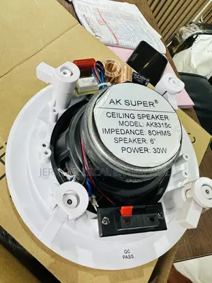 30watts Crossover Ceiling Speakers