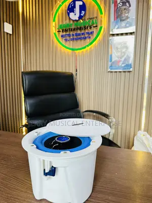 Bose High Quality Ceiling Speakers