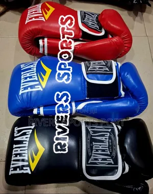 Everlast Deluxe Professional Boxing Glove in Black,Blue,Red