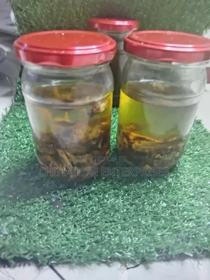 Poke Root Infused Castor Oil 150ml )External Use Only