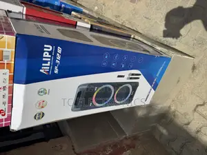 Professional Double 12 Inches Public Address System Ailipu