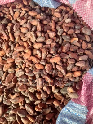 3000 Tons of Cocoa Beans for Sale
