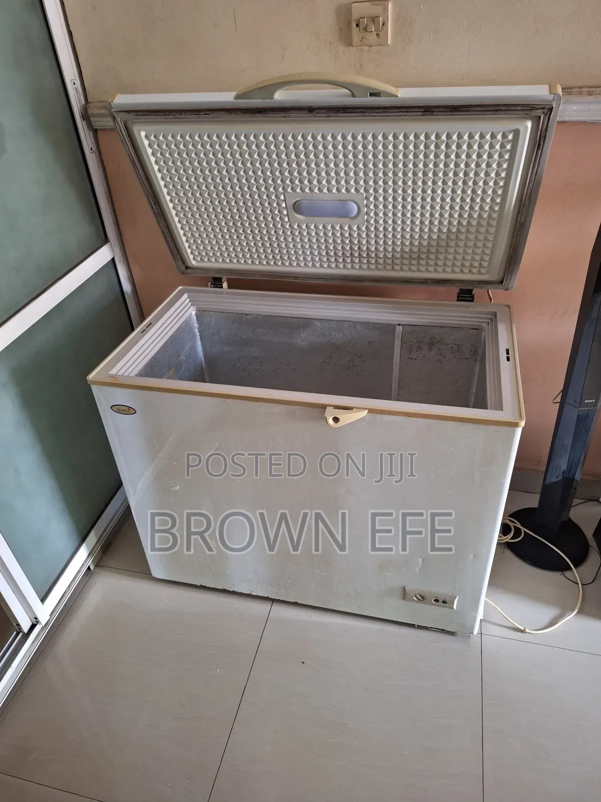 Freezer by Hier Thermocool