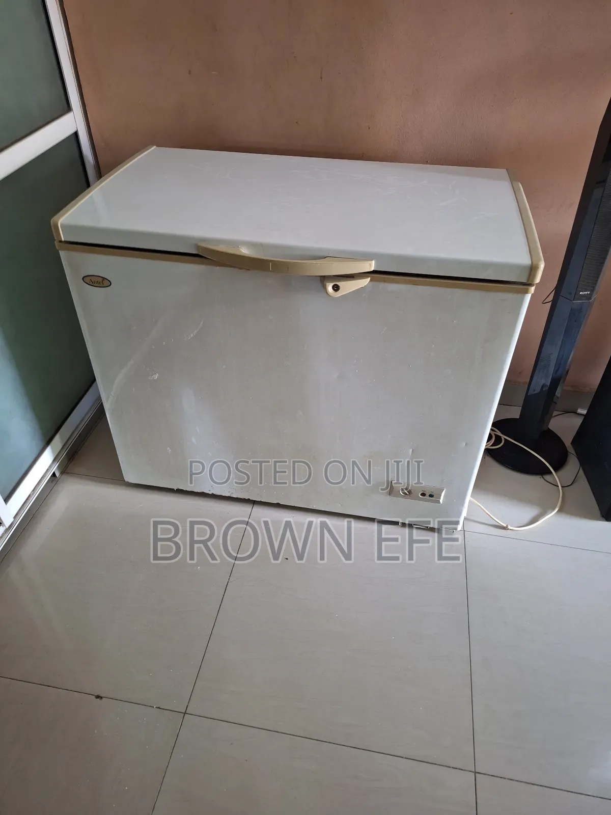 Freezer by Hier Thermocool