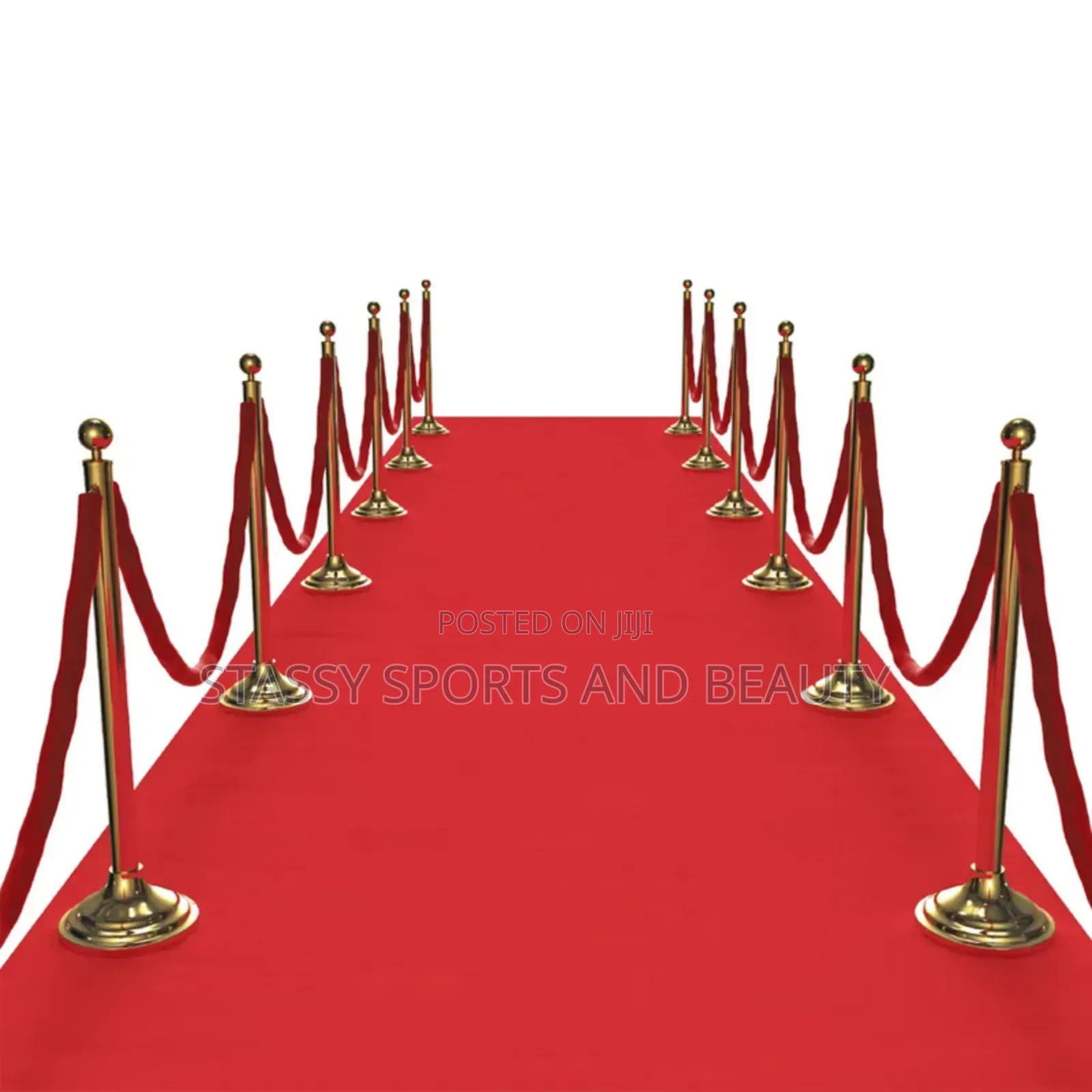 Stanchion Crowd Divider ( 2 Legs, 1 Rope)