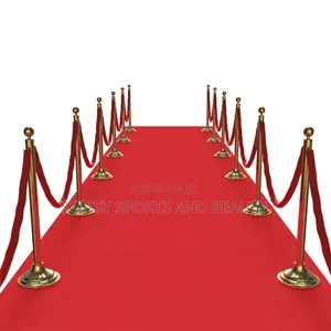 Stanchion Crowd Divider ( 2 Legs, 1 Rope)
