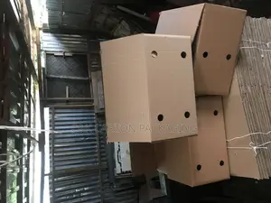 Yam Carton for Export