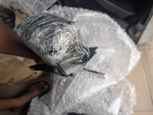 Side Mirror 2017 Accord