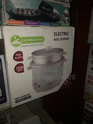 Electric Rice Cooker