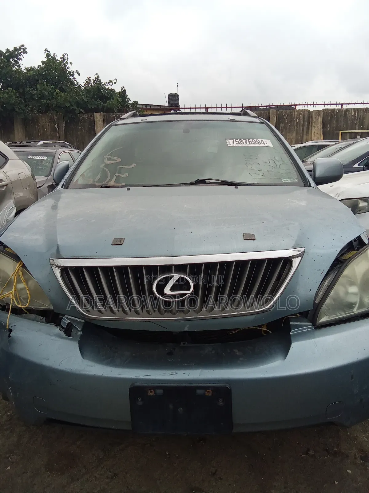 Lexus RX 2007 Blue