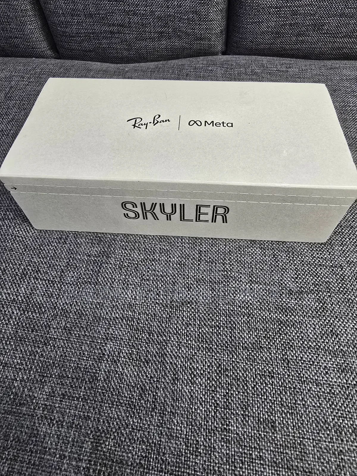 Rayban Meta Skyler Glassess