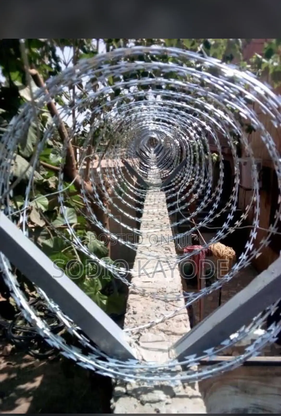 Stainless Razor Wire