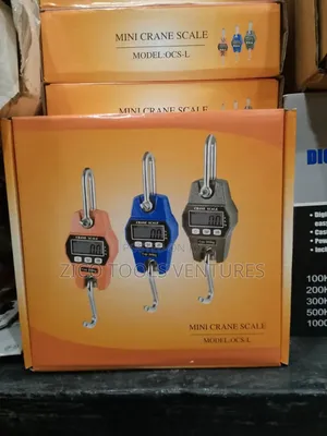300kg Hanging Scale
