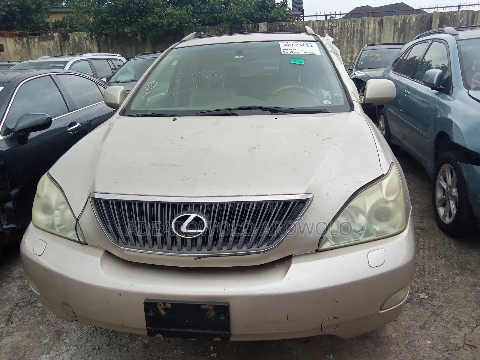 Lexus RX 330 2004 Gold