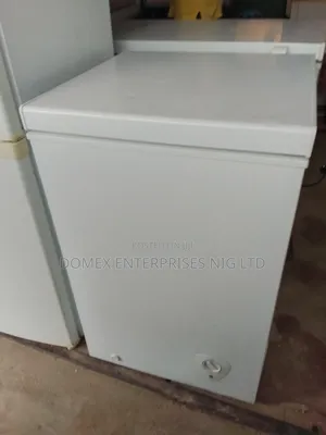 Deep Freezer for Business and Home Use