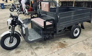 New Motorcycle 2025 Gray
