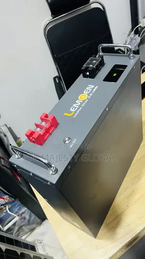 3kwh 24v Lemeon Lithium Battery With 5yrs Warranty