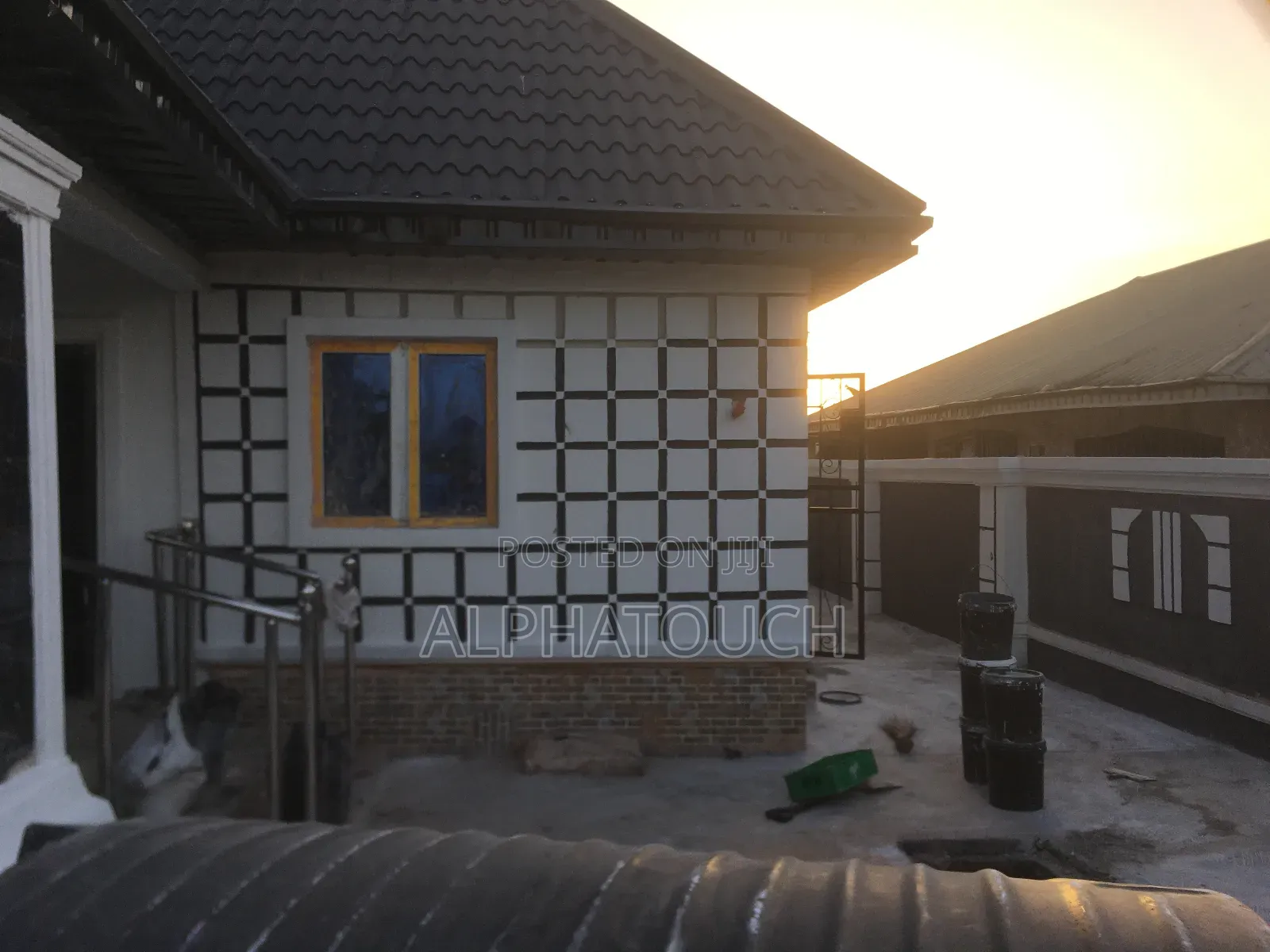 Professional Painter