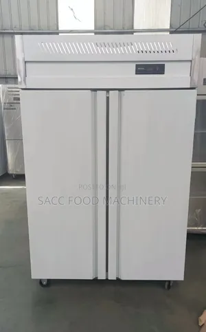 Industrial 2 Doors Stainless Freezer
