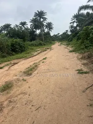200 Acres of Land for Sale Kobape Not Far From Expressway