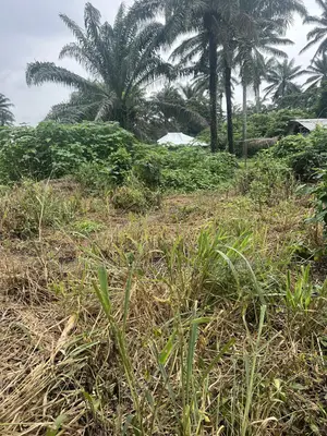 200 Acres of Land for Sale Kobape Not Far From Expressway