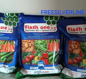 Flash One Fungicide