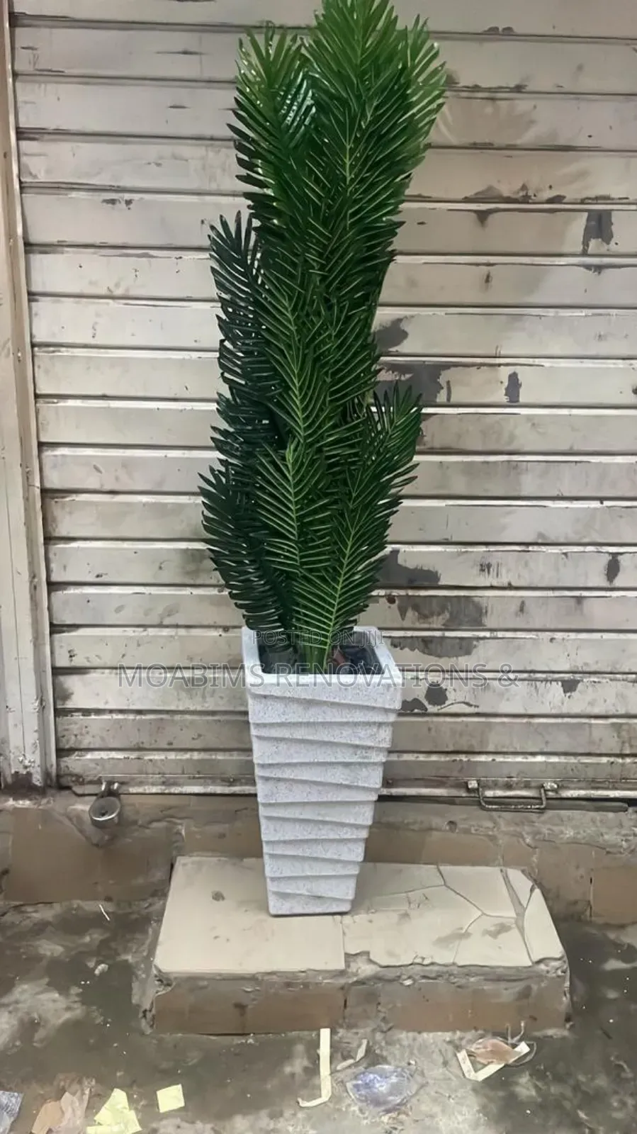 Artificial Plants With White Stones