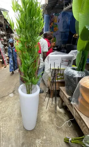Artificial Bamboo Plants With White Stones