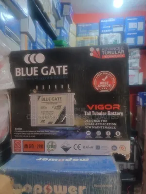 220ah 12v Blue Gate Tubular Battery