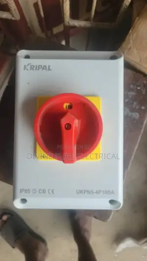 100amps 4pole Isolator Kripal