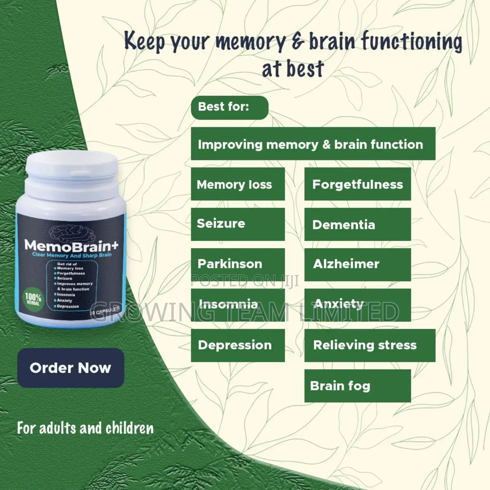 Too Forgetful Reversal Supplement Dementia