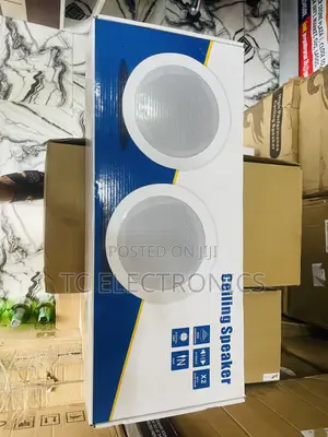2 In1 Bluetooth Ceiling Speaker